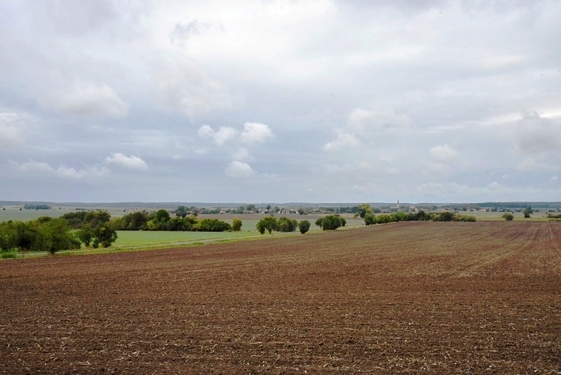 Pojedy a Žitovlice